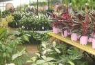 Sedgefieldplant-nursery-7.jpg; ?>
